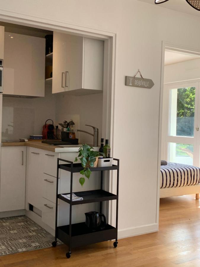 Trouville, Appartement Renove Avec Grande Terrasse Au Calme Eksteriør bilde